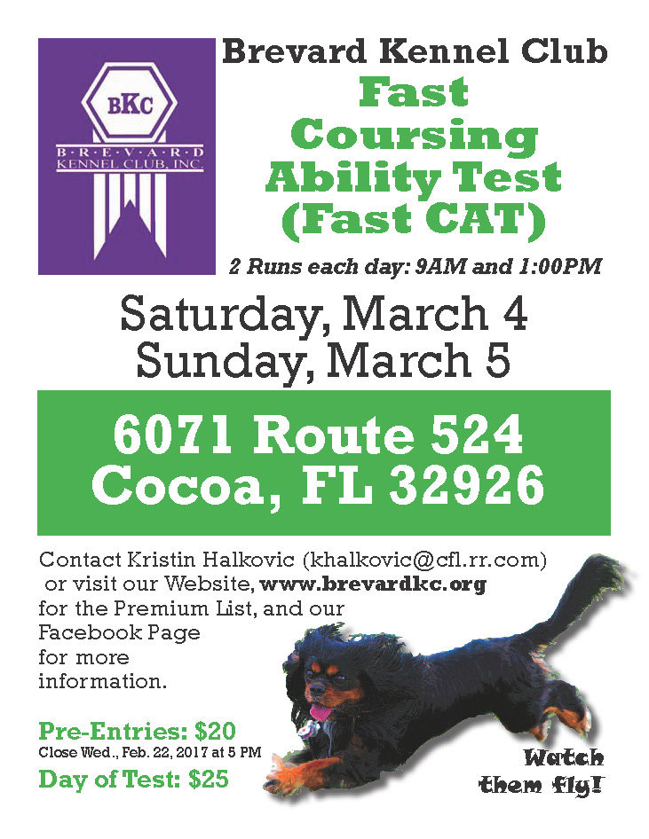 Fast CAT Flyer 0317