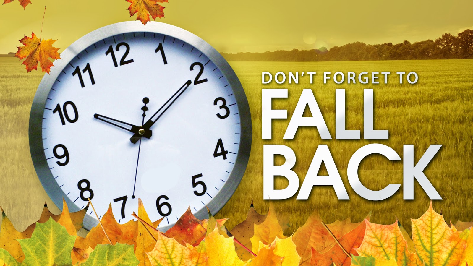 Daylight Savings Time Fall